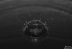 Corona d'acqua Corona d'acqua