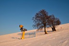 Alberi tecnologici Alberi tecnologici