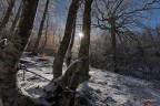 neve mattutina