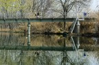 Mattino sul Fiume Mattino sul Fiume