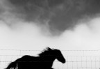 nel vento ....... nel vento .......