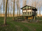 La casa nel bosco La casa nel bosco