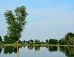 Riflesso Riflesso