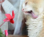Tutti cantano Sanremo (in ritardo) Tutti cantano Sanremo (in ritardo)