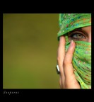 Verde II Verde II