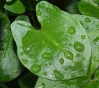 prova macro prova macro