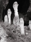 Sculture di ghiaccio Sculture di ghiaccio