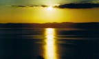 Sole Sole