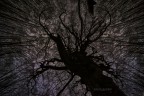 Le stelle sono buchi nel cielo da cui filtra la luce dell’in Le stelle sono buchi nel cielo da cui filtra la luce dell’in