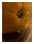 Orange Orange