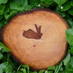 *** Wood Rabbit***