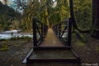The bridge The bridge