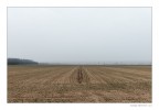 Monotonie padane - Primo giorno di primavera Monotonie padane - Primo giorno di primavera