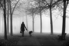 A foggy day A foggy day