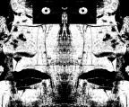 Alien Alien