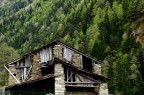 La casa nel verde La casa nel verde
