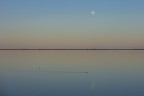 luna su valli di Comacchio luna su valli di Comacchio