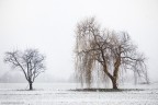 CRYING IN THE SNOW CRYING IN THE SNOW