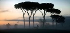 ... attesa ... attesa
