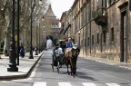 Guida turistica in carrozza