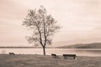 Veduta sul lago di Pusiano Veduta sul lago di Pusiano