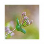 E arrivata la primavera...