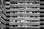 Human Hive Human Hive