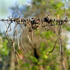 ***Posatoi in saldo***