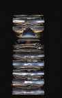 Totem Totem