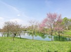 La Primavera a Milano
