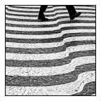 riga bianca riga nera riga bianca riga nera