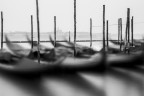 Venice Venice