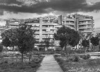 giungla architettonica giungla architettonica