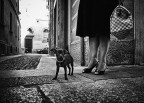 Erwitt style Erwitt style