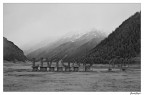 livigno livigno