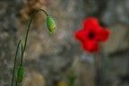 Guarda che ti vedo.... Guarda che ti vedo....