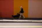 Quel pomeriggio di un giorno da cani