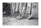 in cascina ;/) - (roba vecchia ... come la fotocamera!) - in cascina ;/) - (roba vecchia ... come la fotocamera!) -
