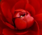 Nel rosso Nel rosso