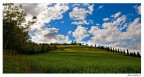 LA collina LA collina