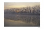 Le rive de la Senna Le rive de la Senna