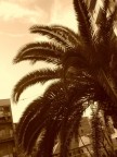 California dream California dream