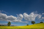 ...amiata lontana.. ...amiata lontana..