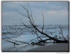 Mare D'Inverno Mare D'Inverno