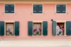 La casa dei fenicotteri La casa dei fenicotteri