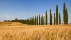 Landscape 2 Landscape 2