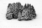 Agglomerato invernale Agglomerato invernale