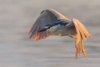 in volo in volo