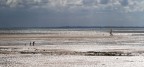 Pêche a pied Pêche a pied