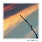 Rivivere... nei colori.